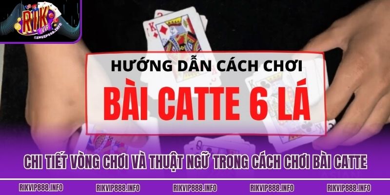 Chi tiết vòng chơi và thuật ngữ trong cách chơi bài Catte