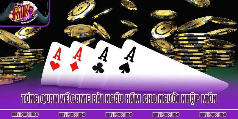 Tổng quan về game bài Ngầu Hầm cho người nhập môn